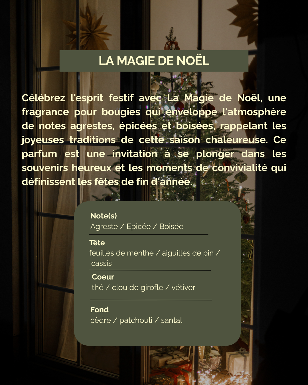 Aroma de Noël - Fondants Parfumés 🎄(100g)