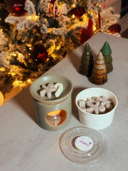Aroma de Noël - Fondants Parfumés 🎄(100g)