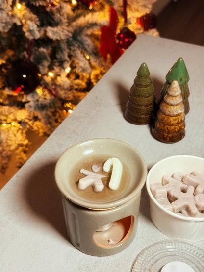 Aroma de Noël - Fondants Parfumés 🎄(100g)