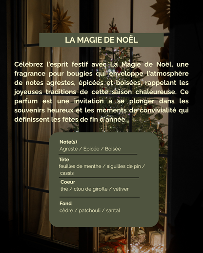 Aroma de Noël - Fondants Parfumés 🎄(100g)