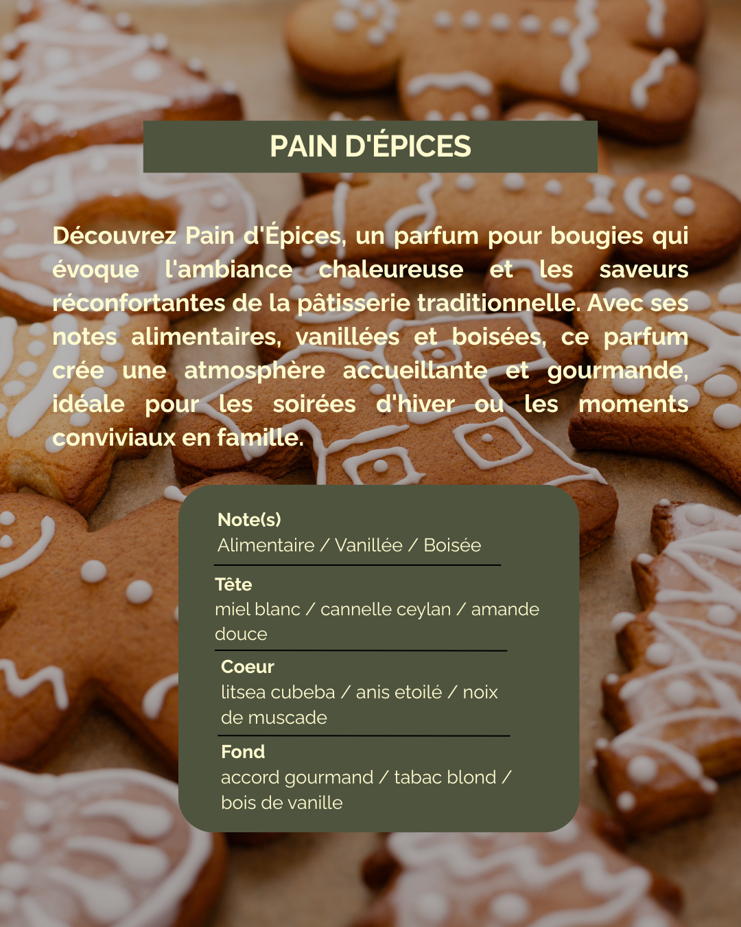 Aroma de Noël - Fondants Parfumés 🎄(100g)