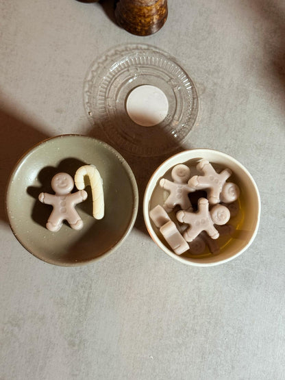 Aroma de Noël - Fondants Parfumés 🎄(100g)